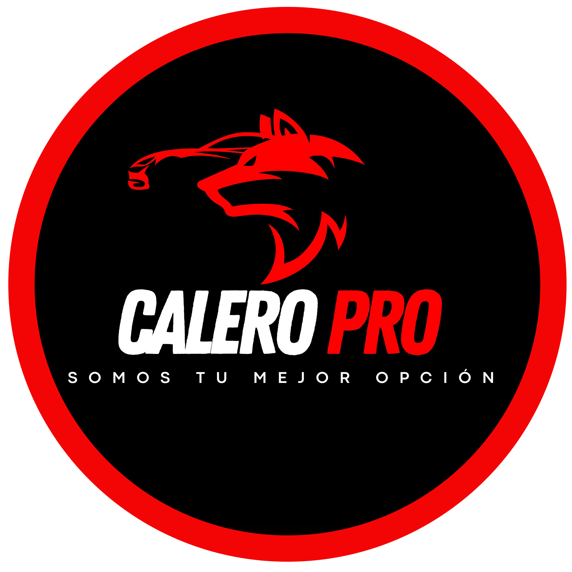 Logo cliente
